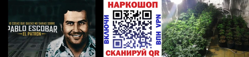 Купить Cocaine МЕФ Alpha-PVP Конопля Корсаков