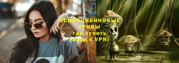 ALPHA-PVP Ельня