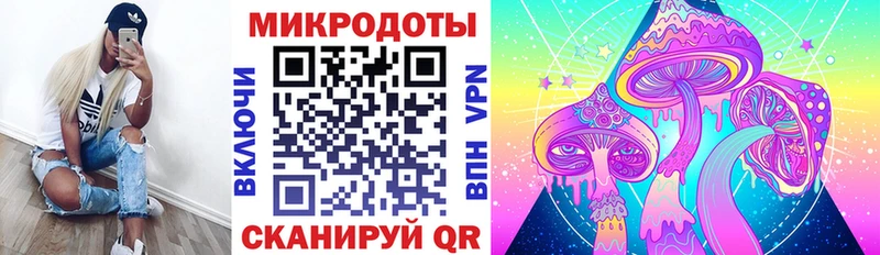 Купить где  Корсаков  Псилоцибиновые грибы MAGIC MUSHROOMS 